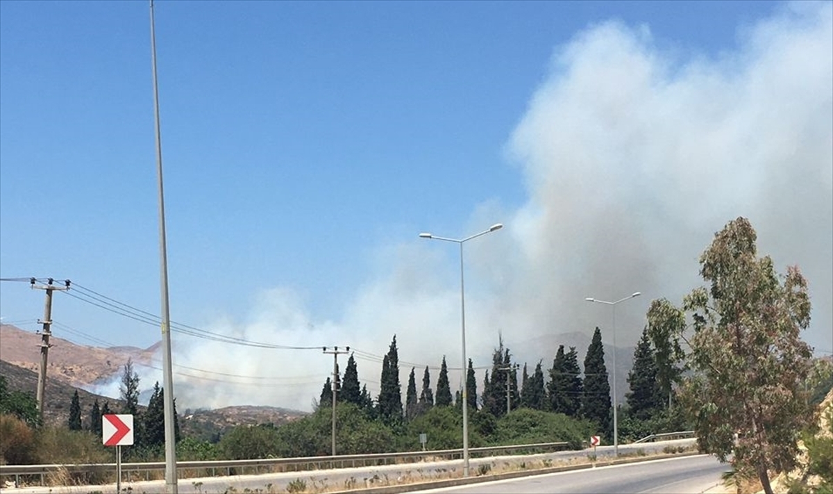 Muğla'da tarım arazisinde çıkan yangın söndürüldü