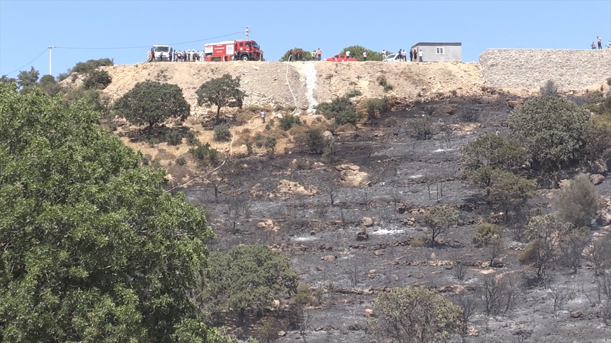 Muğla'da tarım arazisinde çıkan yangın söndürüldü