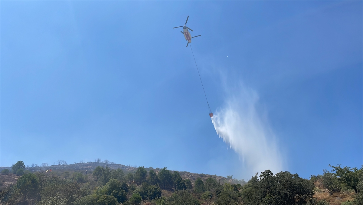 Muğla'da tarım arazisinde çıkan yangın söndürüldü