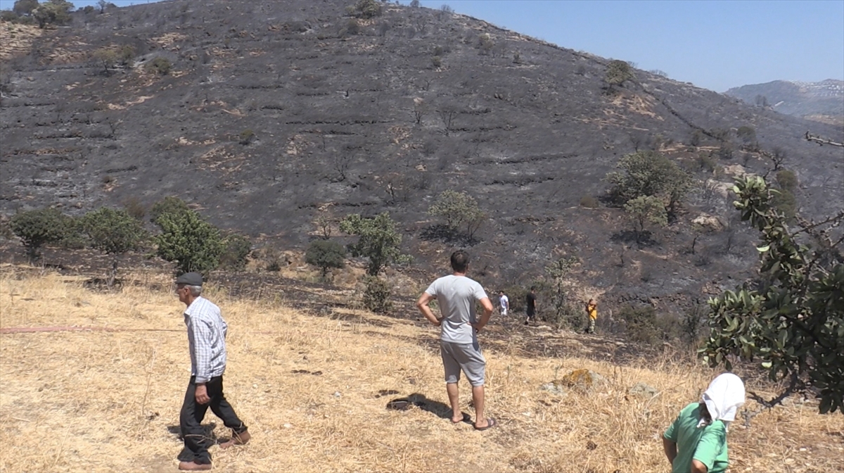 Muğla'da tarım arazisinde çıkan yangın söndürüldü