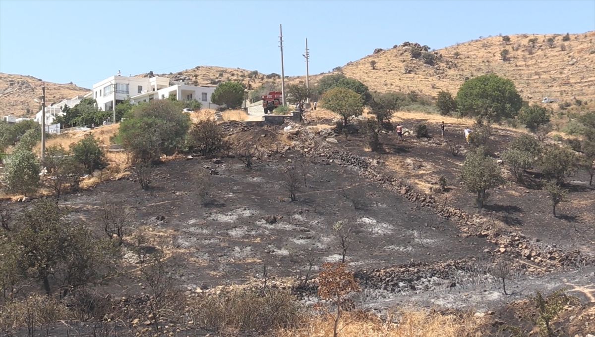 Muğla'da tarım arazisinde çıkan yangın söndürüldü