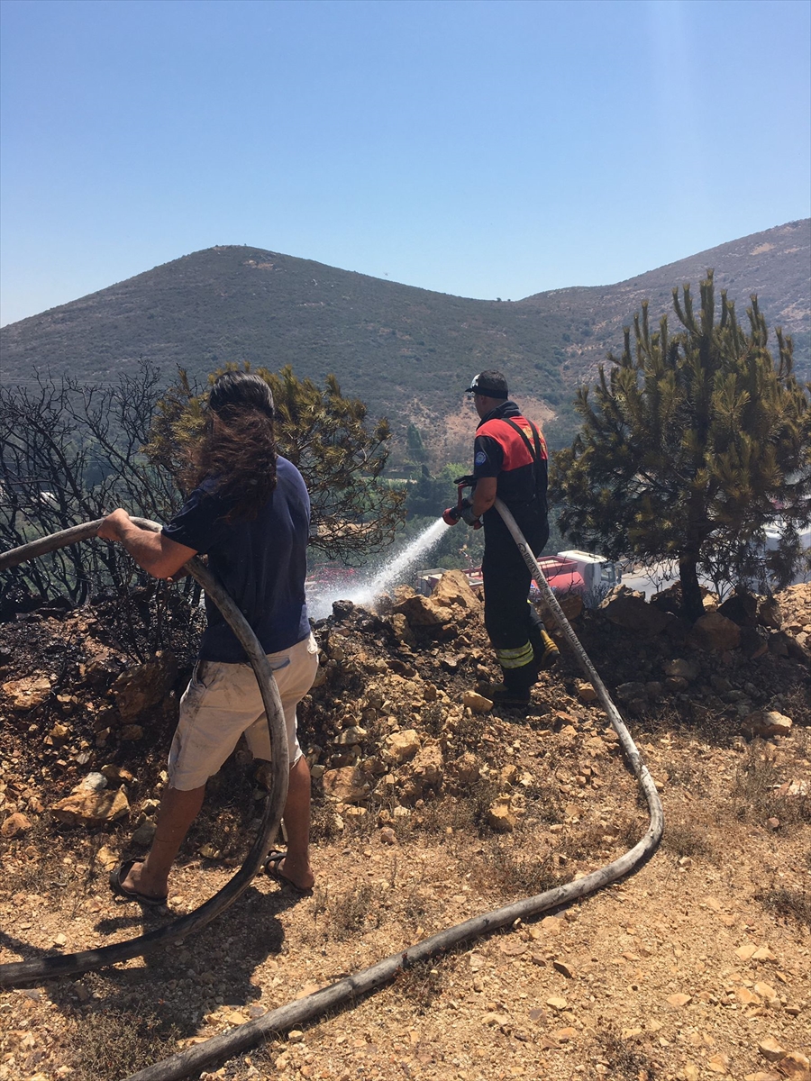 Muğla'da tarım arazisinde çıkan yangın söndürüldü