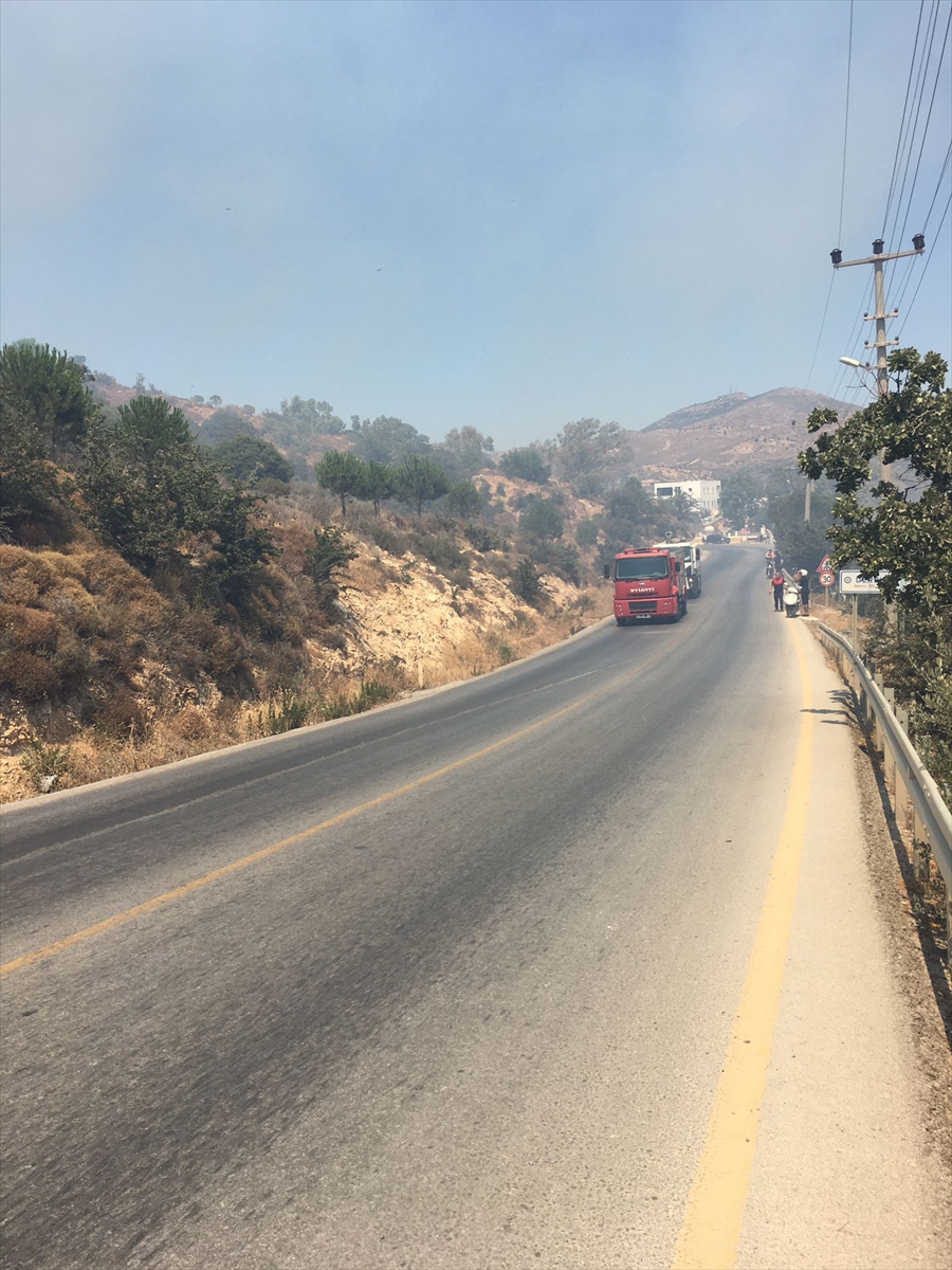 Muğla'da tarım arazisinde çıkan yangın söndürüldü