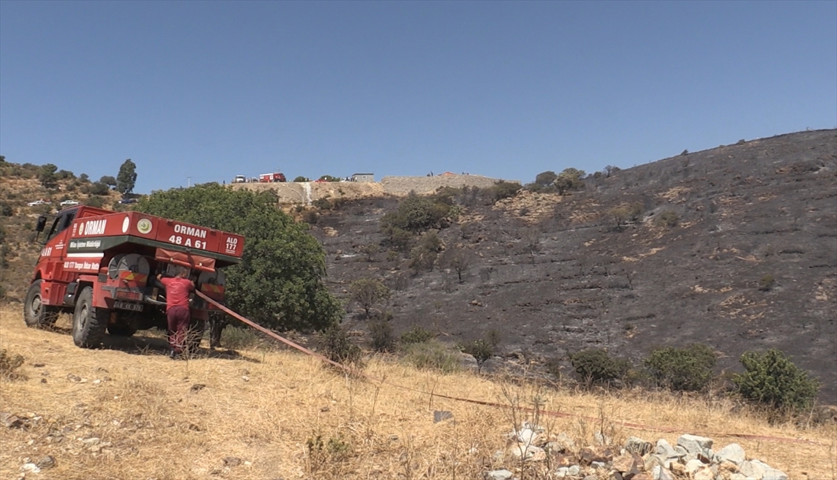 Muğla'da tarım arazisinde çıkan yangın söndürüldü