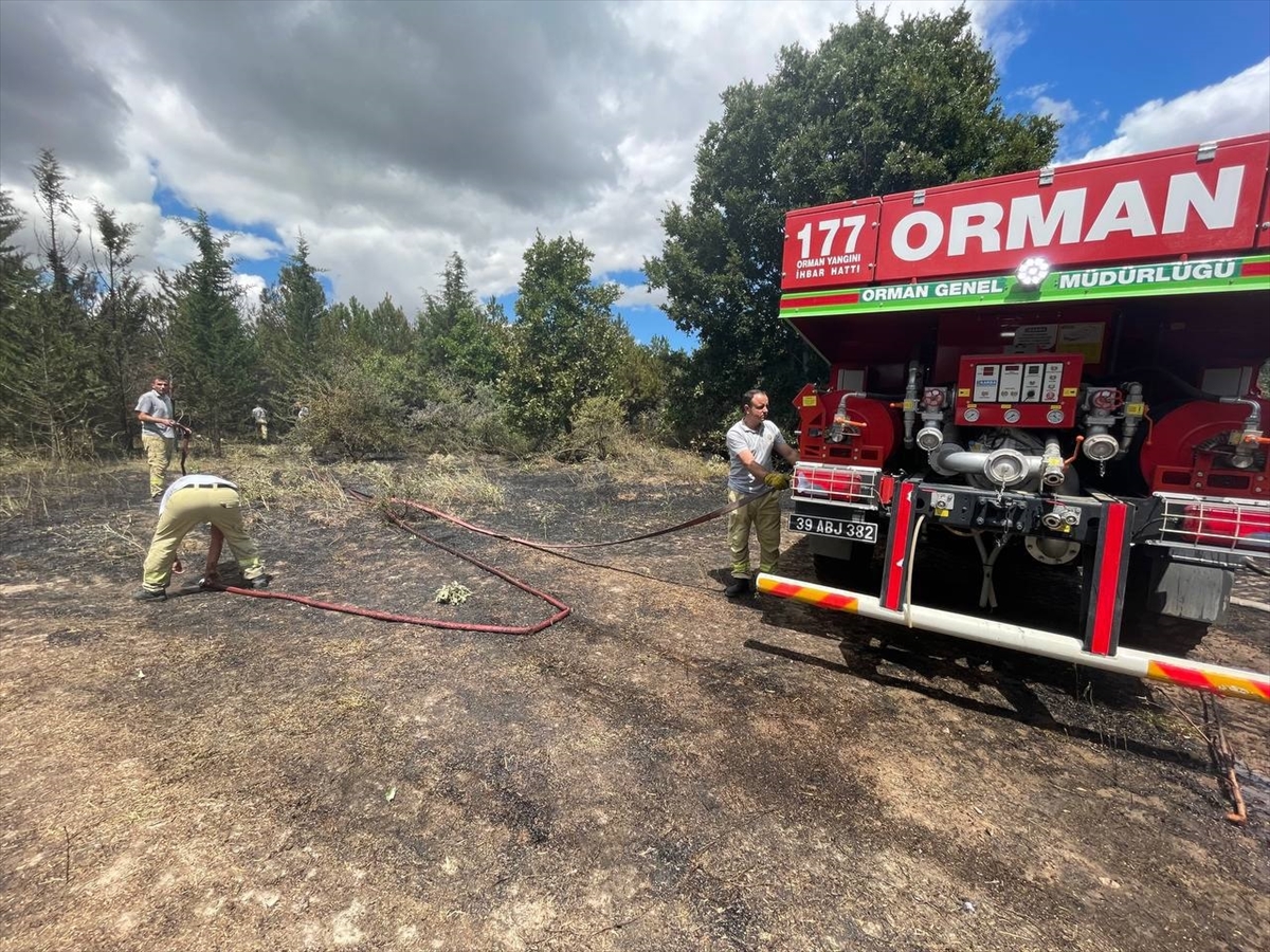 Kırklareli'nde ormanlık alanda çıkan yangın söndürüldü 