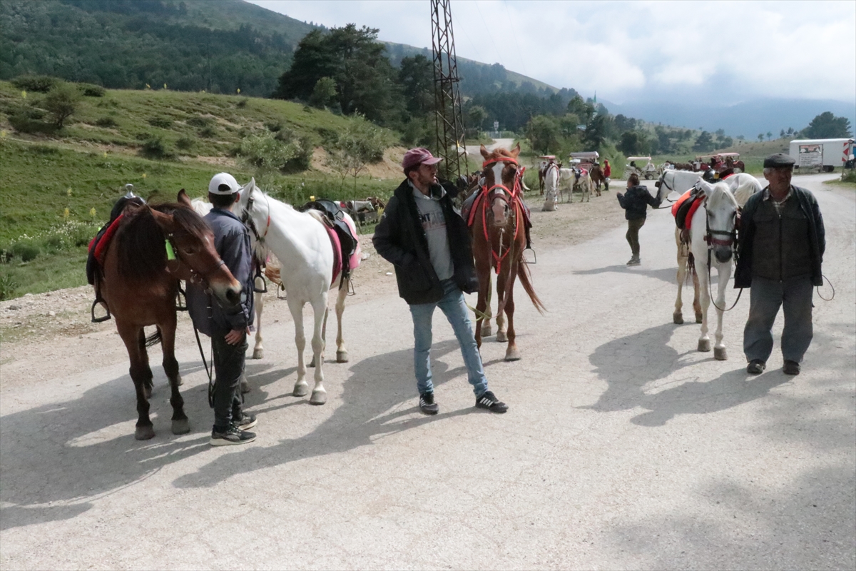 Abant Milli Parkı'nda At ve Faytonla Yapılan Gezi Faaliyetleri Kaldırıldı