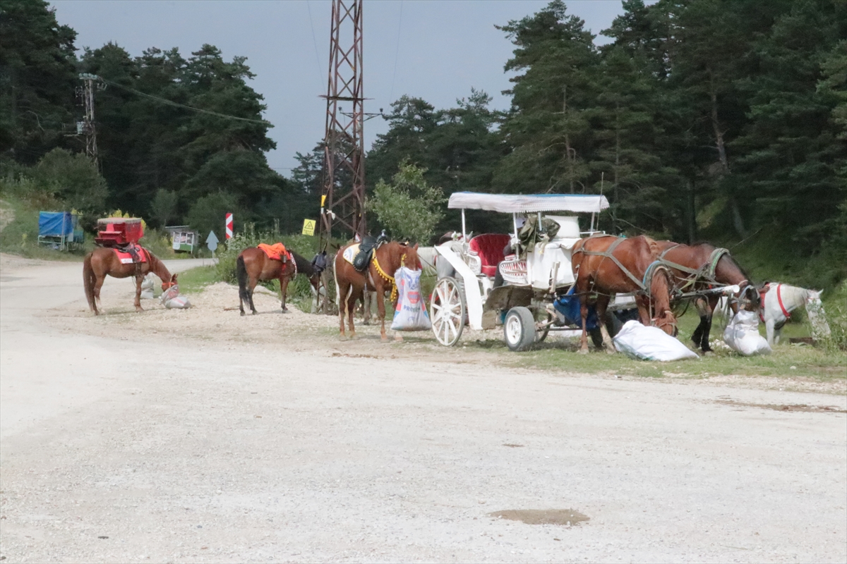 Abant Milli Parkı'nda At ve Faytonla Yapılan Gezi Faaliyetleri Kaldırıldı