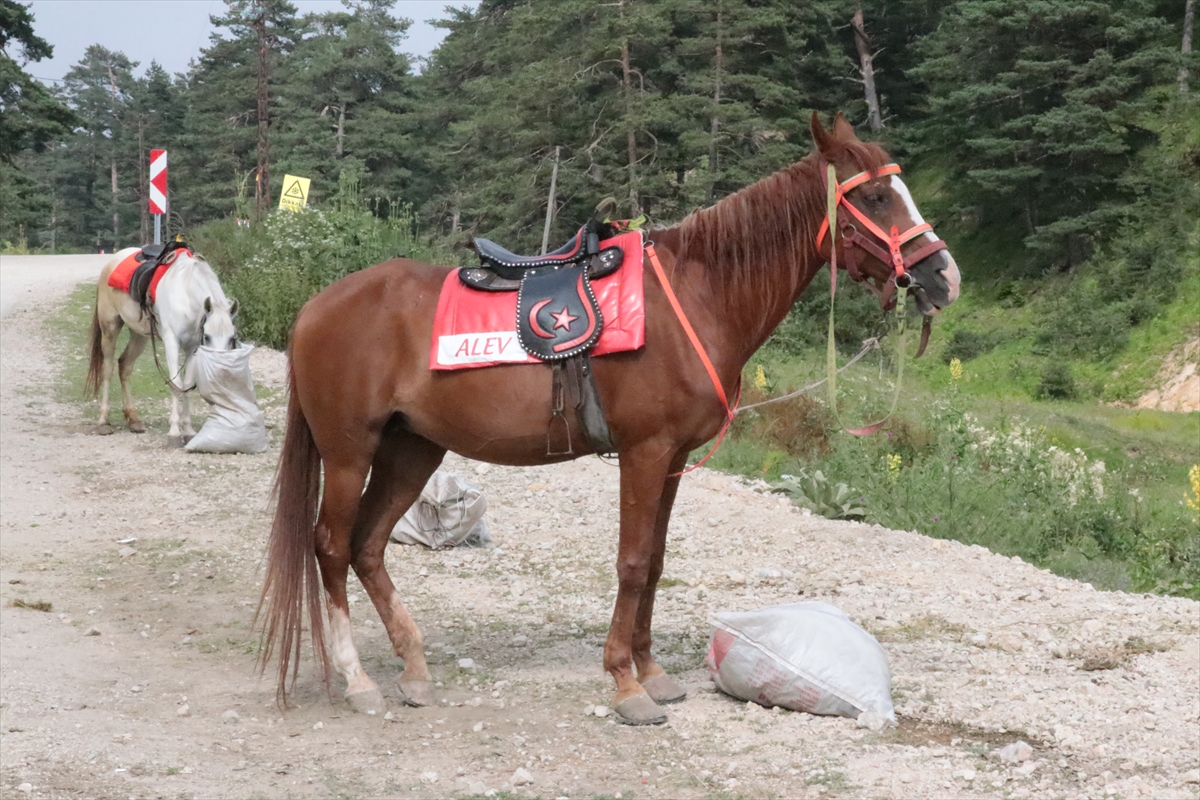 Abant Milli Parkı'nda At ve Faytonla Yapılan Gezi Faaliyetleri Kaldırıldı