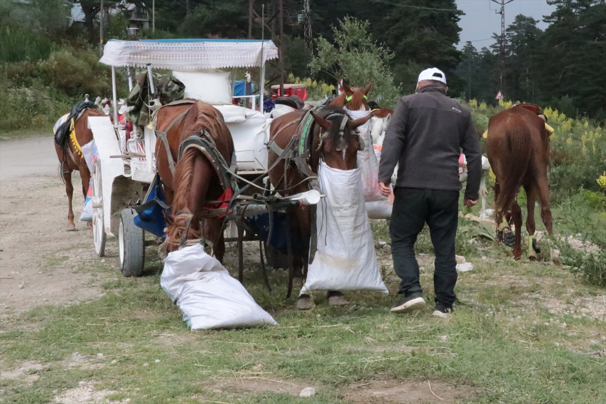 Abant Milli Parkı'nda At ve Faytonla Yapılan Gezi Faaliyetleri Kaldırıldı