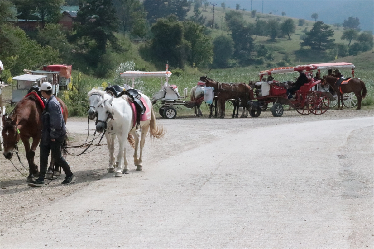 Abant Milli Parkı'nda At ve Faytonla Yapılan Gezi Faaliyetleri Kaldırıldı