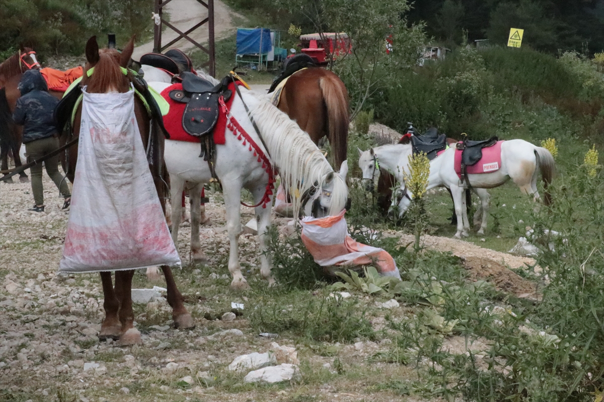 Abant Milli Parkı'nda At ve Faytonla Yapılan Gezi Faaliyetleri Kaldırıldı