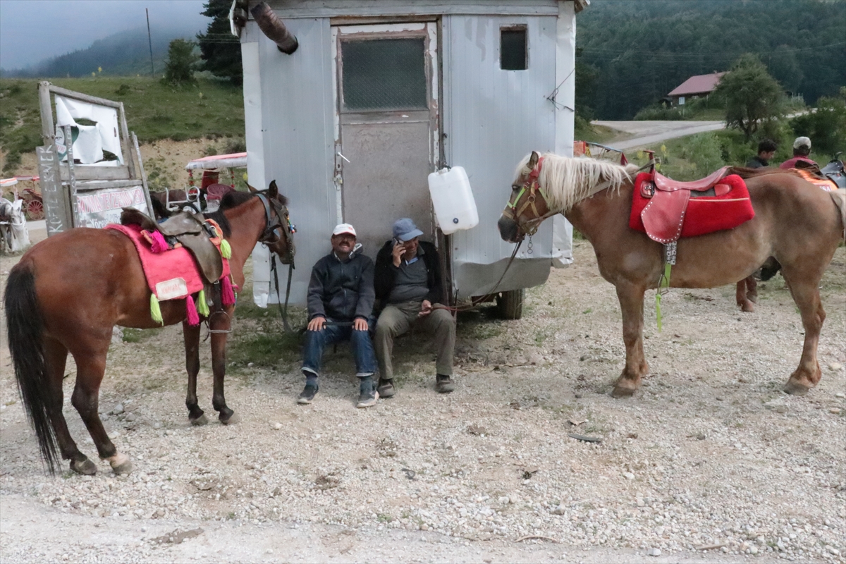 Abant Milli Parkı'nda At ve Faytonla Yapılan Gezi Faaliyetleri Kaldırıldı