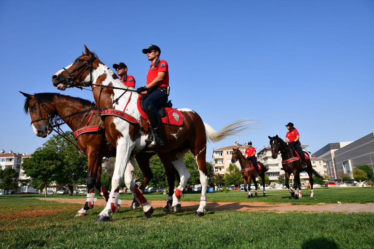Gaziantep'te Atlı Polisler Beğeni Topladı