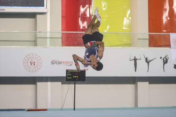 Artistik Cimnastik Dünya Challenge Kupası, Mersin'de Düzenlenecek