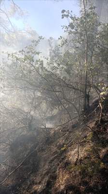 Adana'da Kontrol altına Alınan Yangın Bölgesinde Yeniden Alevler Yükseldi