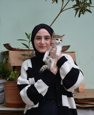 Üniversite Öğrencisi Sevgican Sahipsiz Kedilerin Yardımına Koşuyor