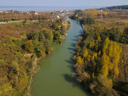 Melen Çayı Çevresindeki Ağaçlar Hazan Renkleriyle Sakarya'ya Güzellik Kattı