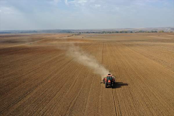 Edirne'de Buğday Ekimi Başladı