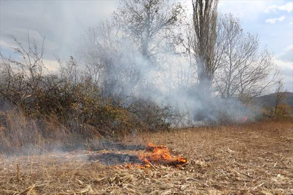 Bursa'da Ağaçlık Alanda Çıkan Yangına Müdahale Ediliyor
