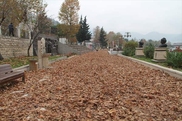 Amasya'da Sonbahar Kareleri İçin Yapraklar Toplanmadı