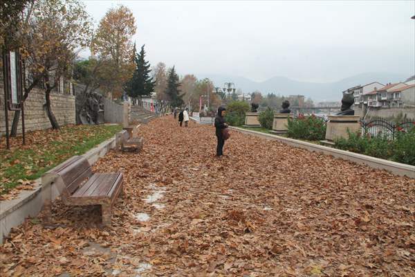 Amasya'da Sonbahar Kareleri İçin Yapraklar Toplanmadı