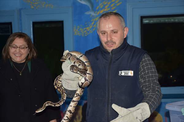 Yurda yasa dışı yollardan sokulan hayvanlar Gaziantep Hayvanat Bahçesine yerleştirildi