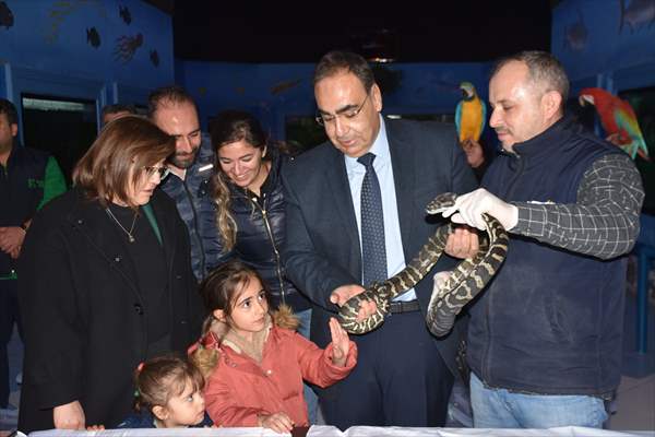 Yurda yasa dışı yollardan sokulan hayvanlar Gaziantep Hayvanat Bahçesine yerleştirildi