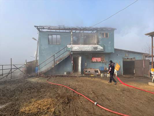 Kocaeli'de Çiftlikte Çalışanların Kaldığı Evde Çıkan Yangın Hasara Neden Oldu