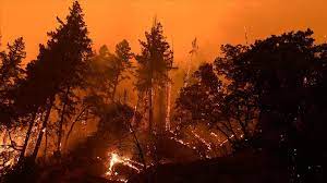 Karaman'da orman alanlarına girişler yangınların önüne geçmek için 30 Eylül'e kadar yasaklandı