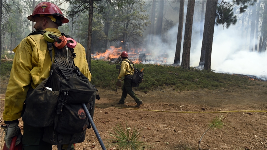 California'da Süren Orman Yangınlarında 6 Bin 300 Hektar Alan Zarar Gördü 