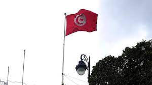 Tunus’ta Yeni Anayasa İçin Düzenlenen Referandumda Oy verme işlemi başladı