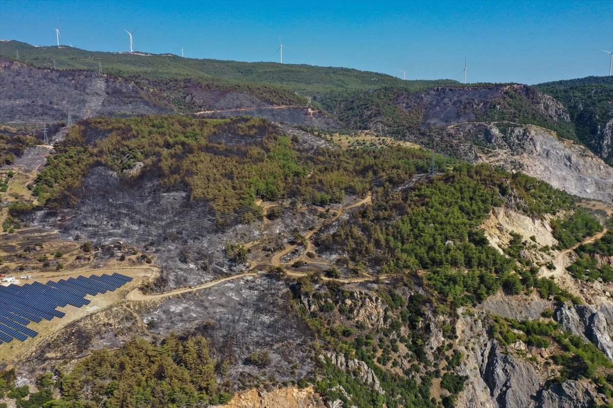 Aydın'daki Orman Yangını Kontrol Altına Alındı