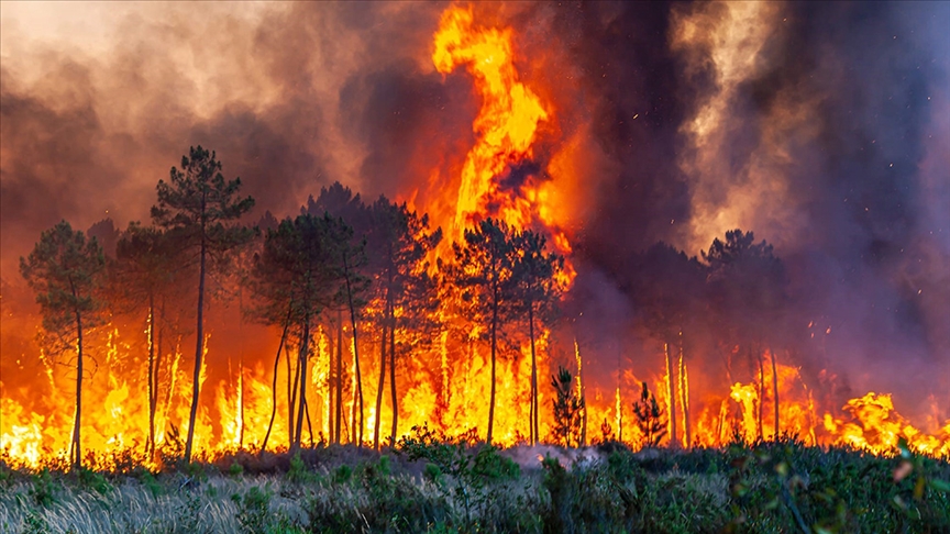 Avrupa'daki Orman Yangınları 15 Yıllık Ortalamanın Yaklaşık Olarak Dört Katına Yükseldi