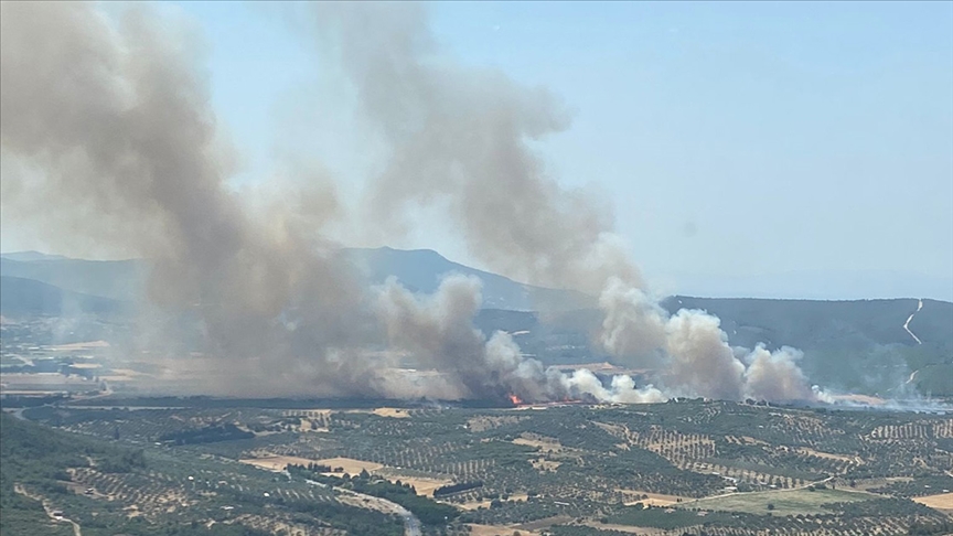 İzmir'de Makilik Alanda Çıkan Yangına Müdahale Ediliyor