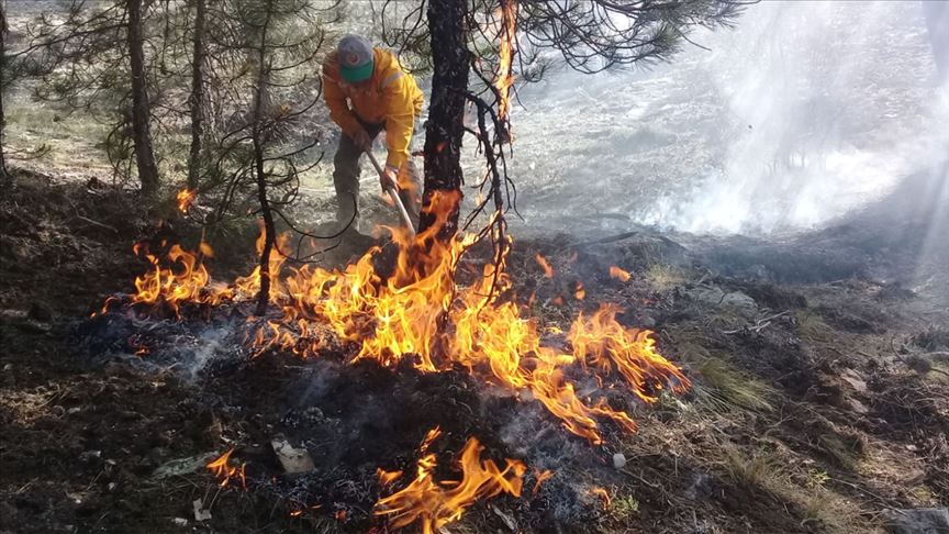 Marmaris'te Orman Yangını Başladı