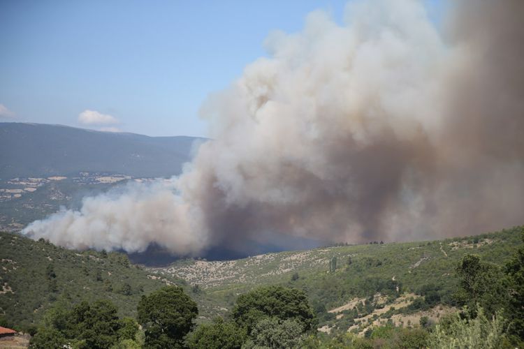 Balıkesir'de Çıkan Orman Yangını Kontrol Altına Alındı