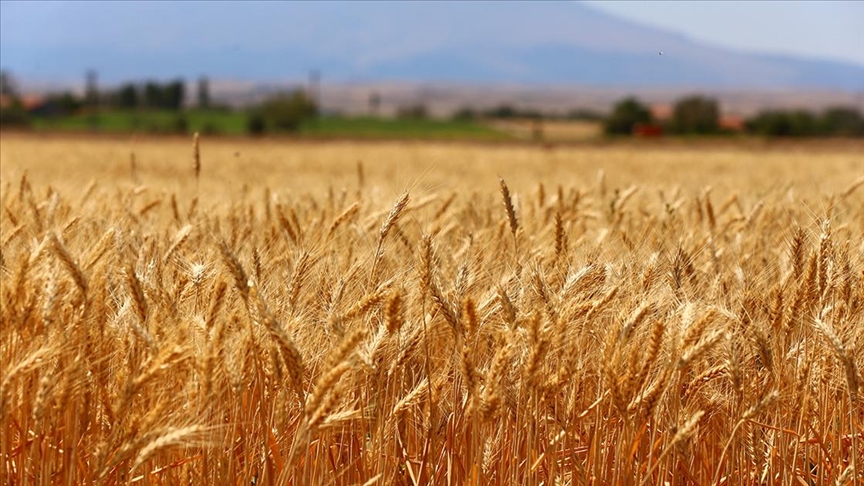 Uşak Ticaret Borsası 