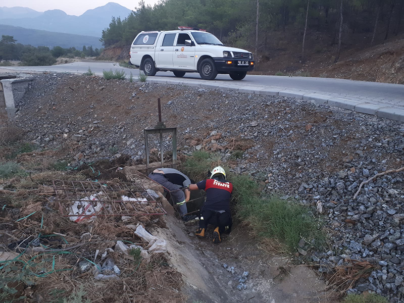 Muğla'da Kuyuya Düşen Kedi Yavrusu Kurtarıldı