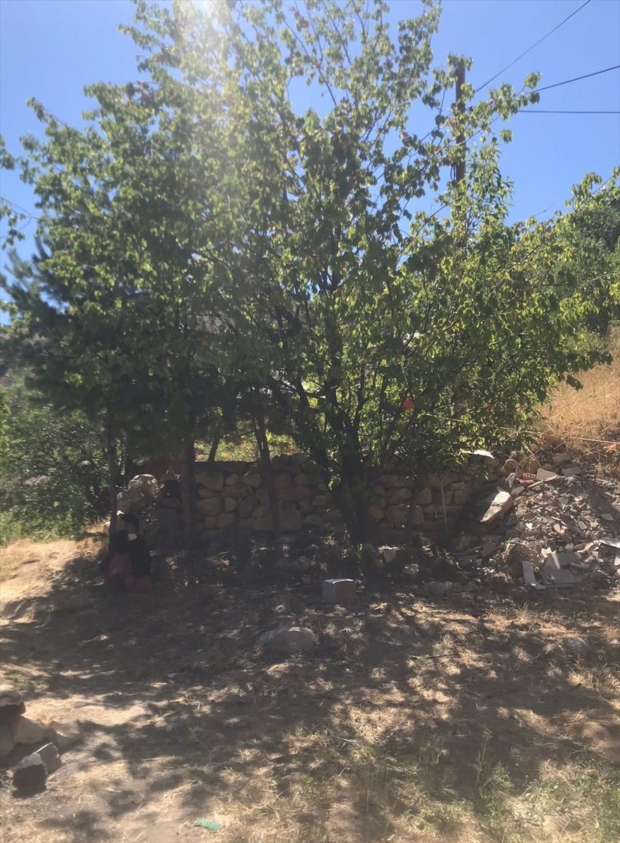 Erzincan'da Kayısı Toplama Nedeniyle Çıkan Tartışmada 1 Kişi Öldü