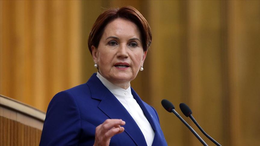 İYİ Parti Genel Başkanı Akşener'in Yalova Ziyaretinde Elini Köpek Isırdı