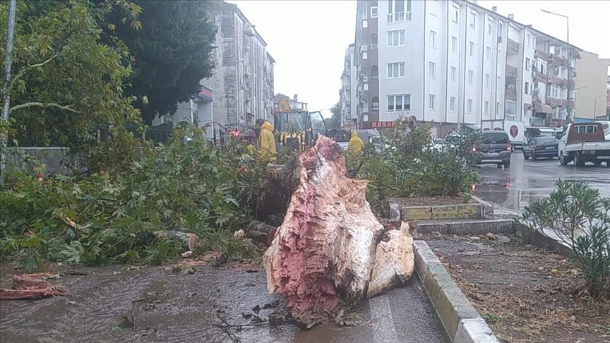 Mudanya'da Hasara Yol Açan Sağanak Sonrası Temizlik Çalışması Tamamlandı