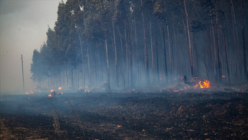 Arjantin'de Orman Yangınlarına Müdahale Etmesi İçin Ordu Görevlendirildi