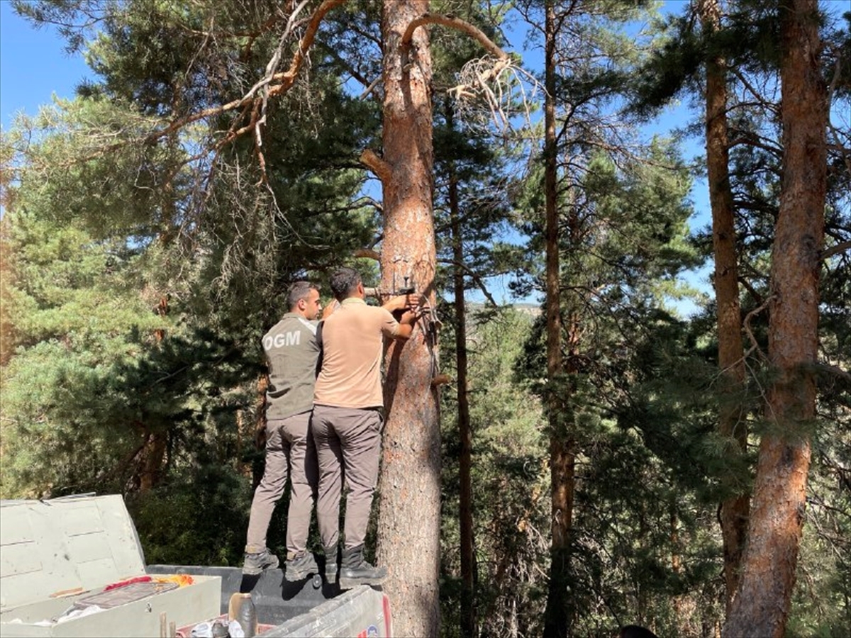 Kars'ta Ormanlar Yapay Zeka Fotokapanlarla Korunuyor