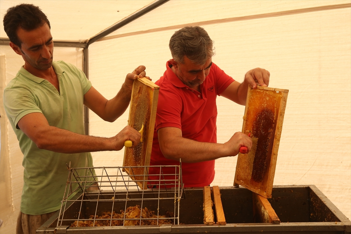 Bitlis Balı 