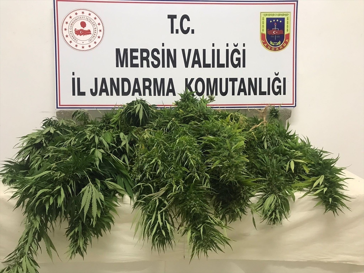 Mersin'de uyuşturucu operasyonunda yakalanan 3 zanlıdan 1'i tutuklandı