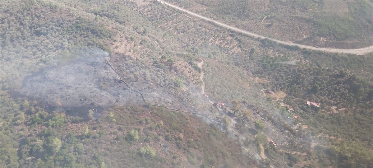 Muğla'da Makilik Alanda Çıkan Yangın