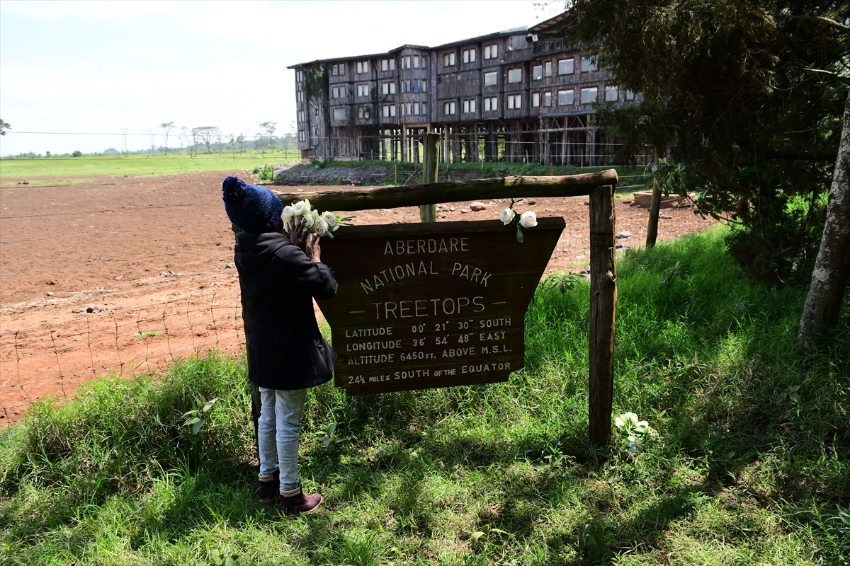 Elizabeth'in Prenses Olarak Gelip Kraliçe Olarak Ayrıldığı Kenya'daki Otel Treetops