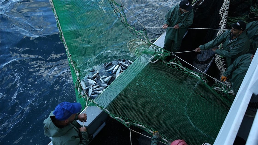 Karadeniz'deki Balıkçılar Palamut Yağmuruna Tutuldu