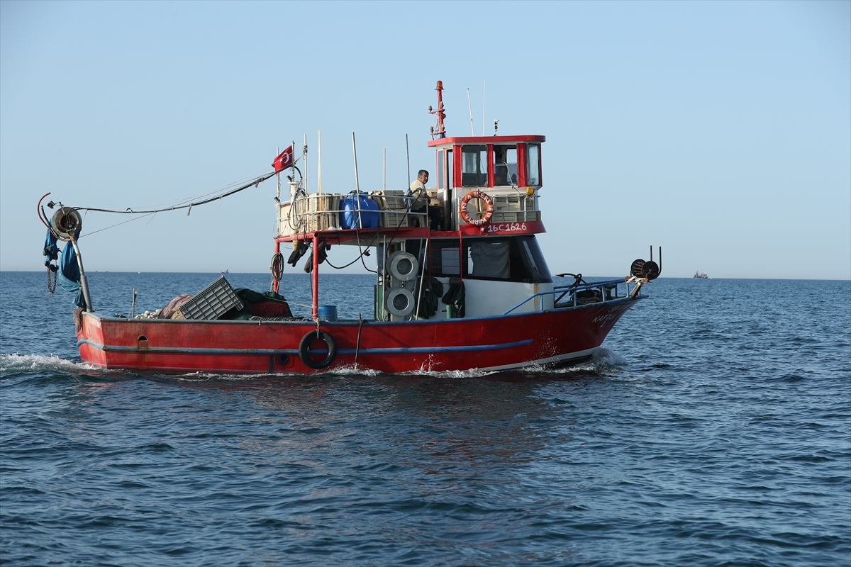 Balıkçıların Palamut Mesaisi Sürüyor