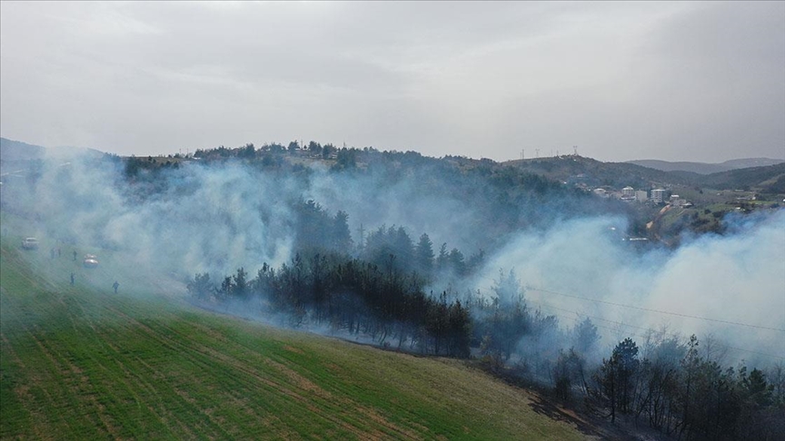 Bursa'da Çıkan Orman Yangınına Havadan Ve Karadan Müdahale Ediliyor